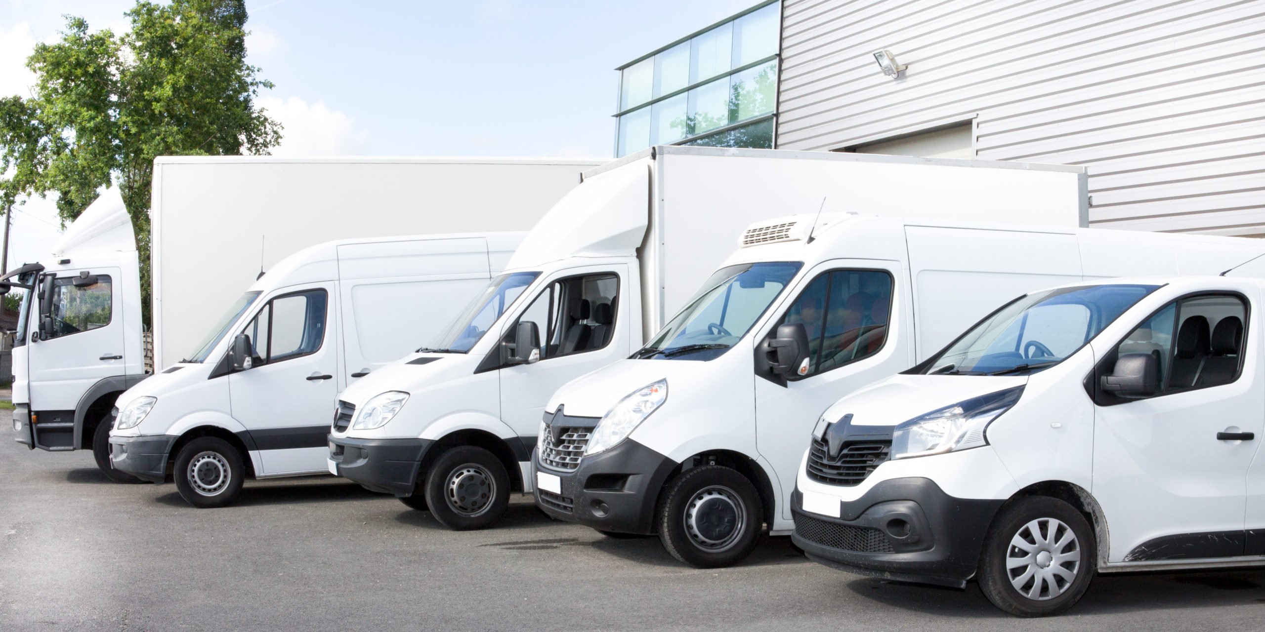 Several,Cars,Vans,Trucks,Parked,In,Parking,Lot,For,Rent Several,Cars,Vans,Trucks,Parked,In,Parking,Lot,For,Rent